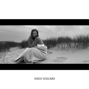 Model Videosedcard